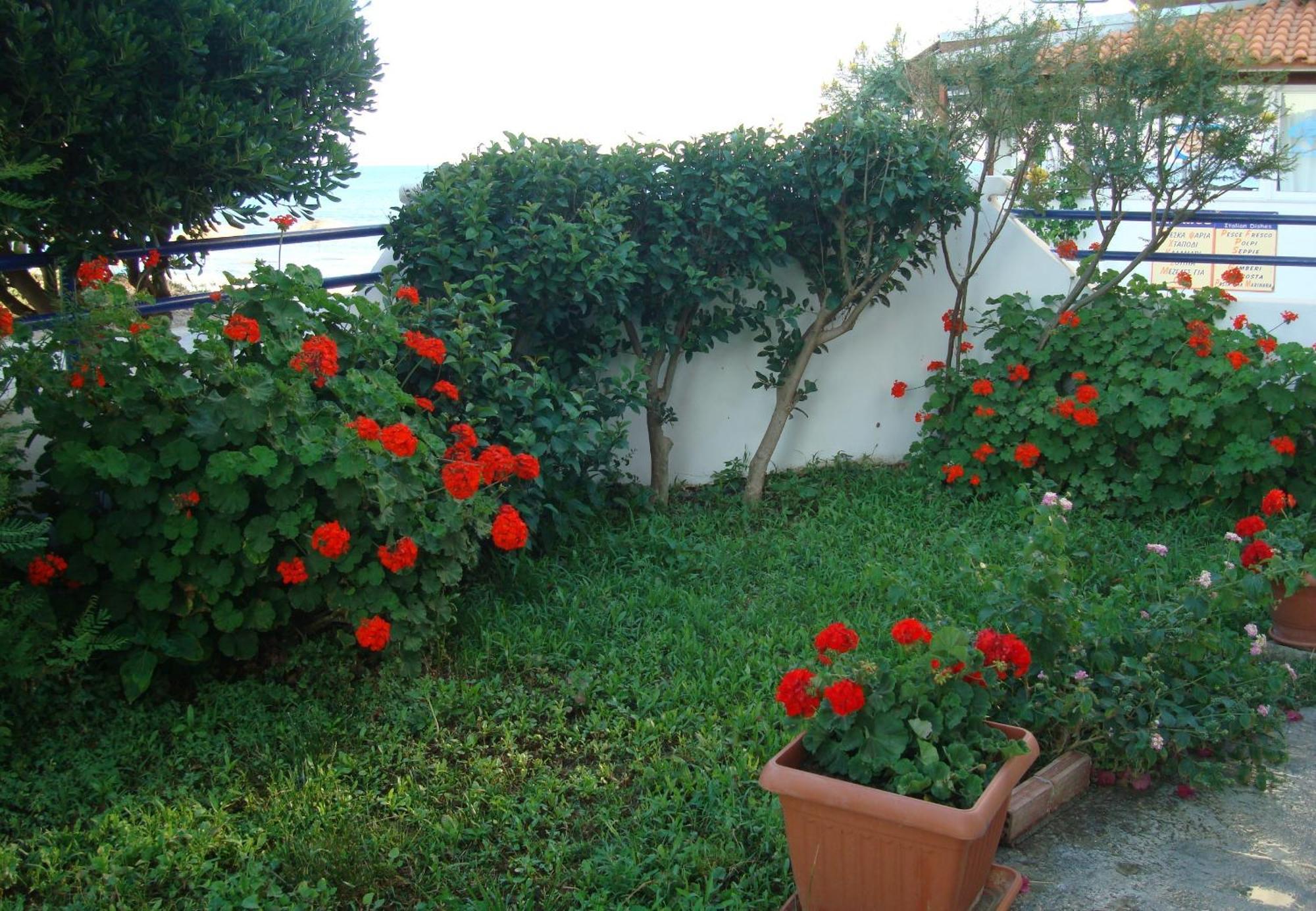 Philippos Studios & Apartments Kardamena  Luaran gambar
