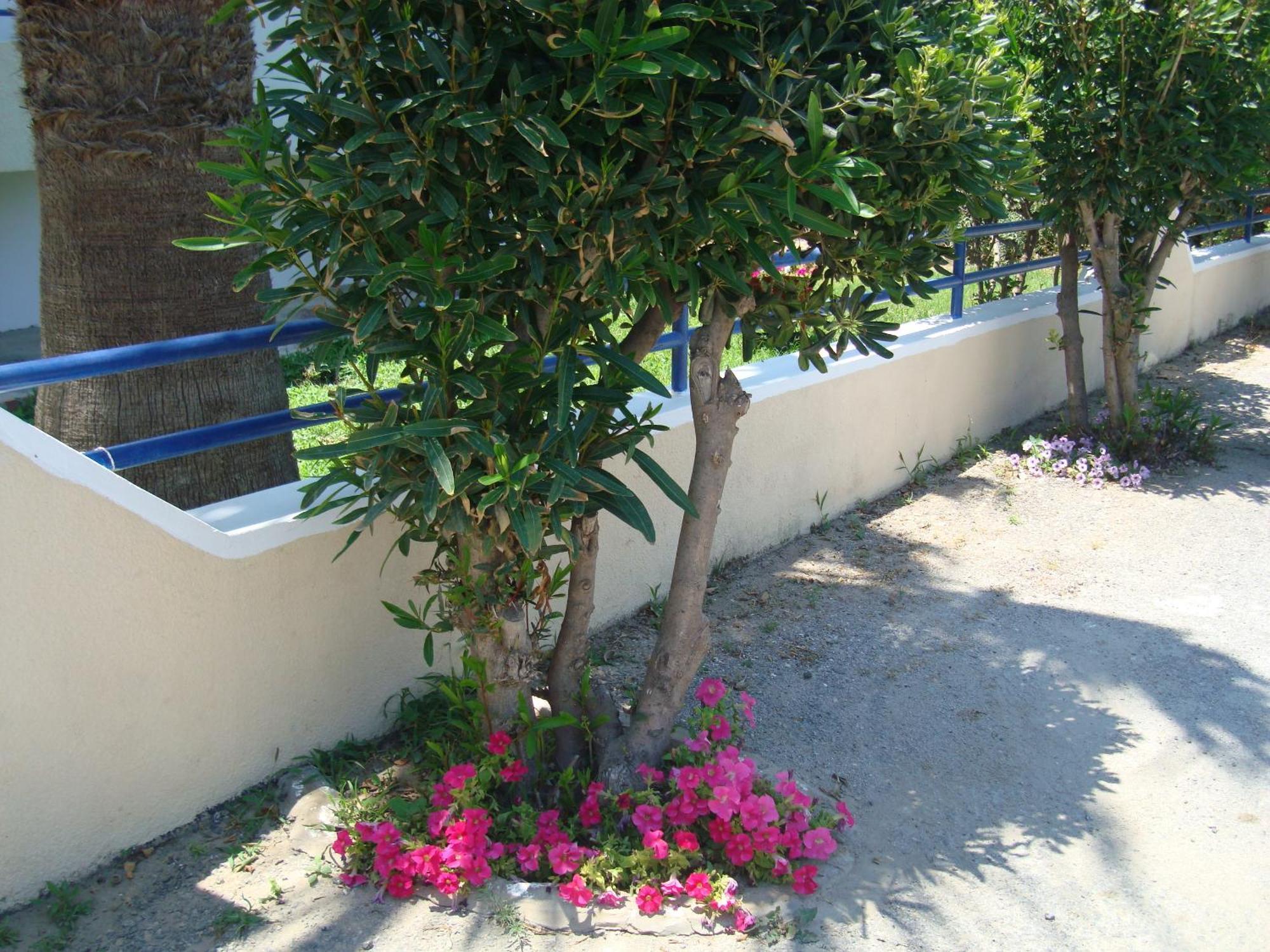 Philippos Studios & Apartments Kardamena  Luaran gambar