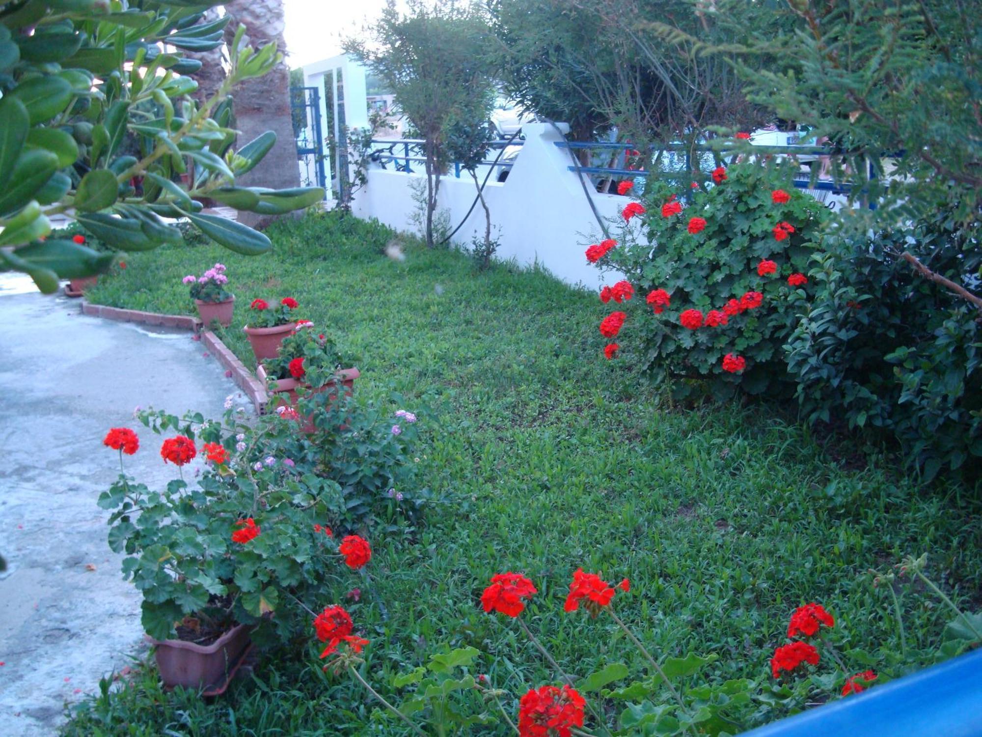 Philippos Studios & Apartments Kardamena  Luaran gambar