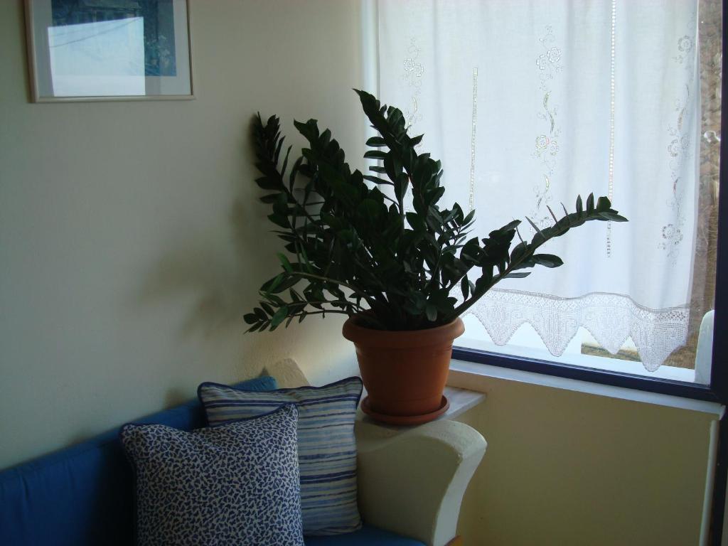 Philippos Studios & Apartments Kardamena  Luaran gambar